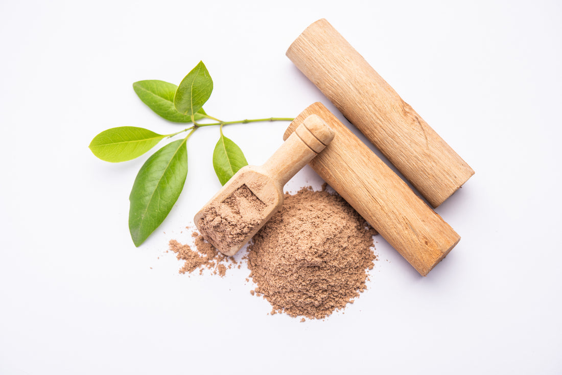 Sandalwood: The Secret to Timeless Beauty According to Ayurveda