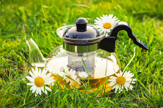 Chamomile Extract: Nature's Elixir for Health and Wellness